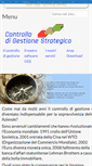 Mobile Screenshot of controllogestionestrategico.it